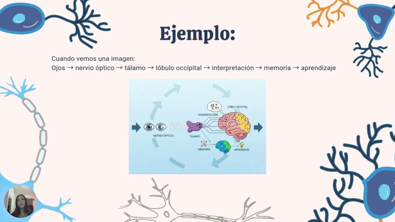 Tarea Neurotecnologia educativa semana 3