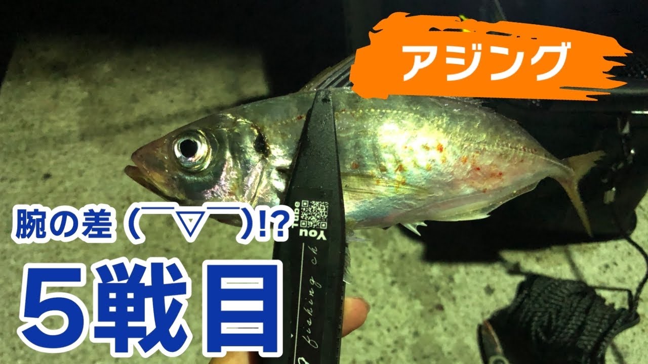 【釣り】アジング 5戦目 2022大分県