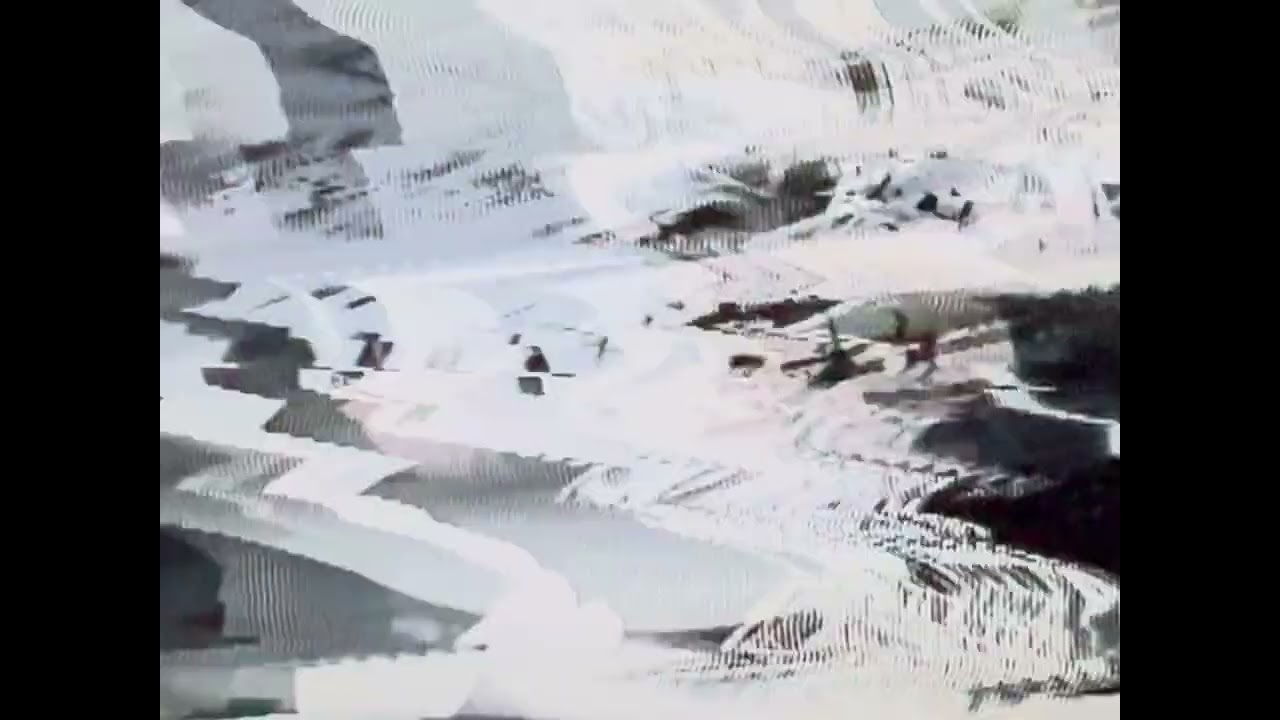 Koala Beatcast 241 (Community Sample Pack Beat) + analog video synthesis