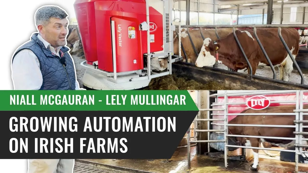Growing Automation on Irish Farms with Niall McGauran - Lely Mullingar