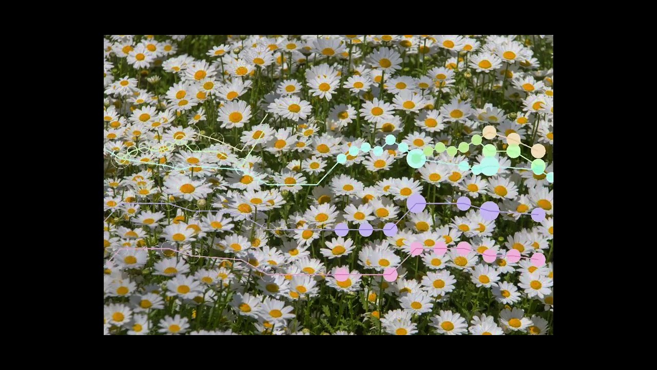 Patricio Vicente Marty - Pieces for Children's String Orchestras N&deg;5, Campo de las Manzanillas (S&P)
