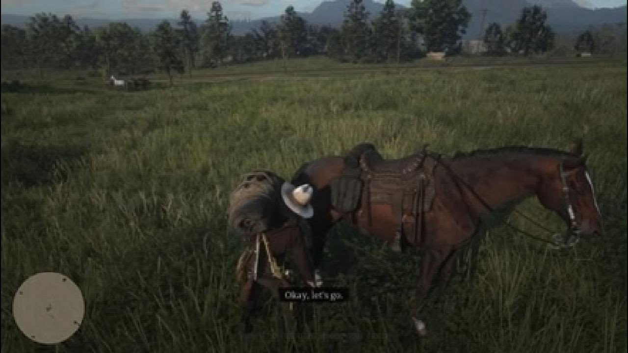 RDR2 GAMEPLAY 6