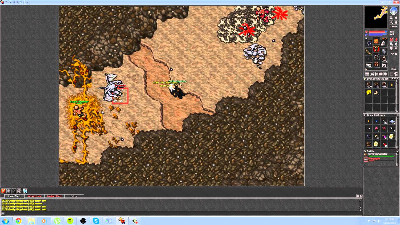 Tibia - Upper Spike (Royal Paladin)