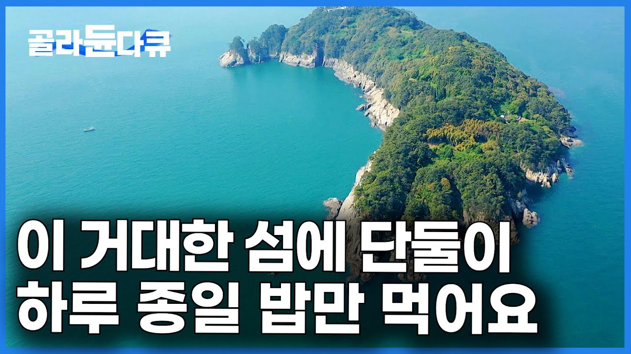 낚시로 밥 해결. 심심하면 캠핑카 타고 여행.. 거대한 섬을 통째로 쓰는 무인도 부부｜지심도｜한국기행｜#골라듄다큐