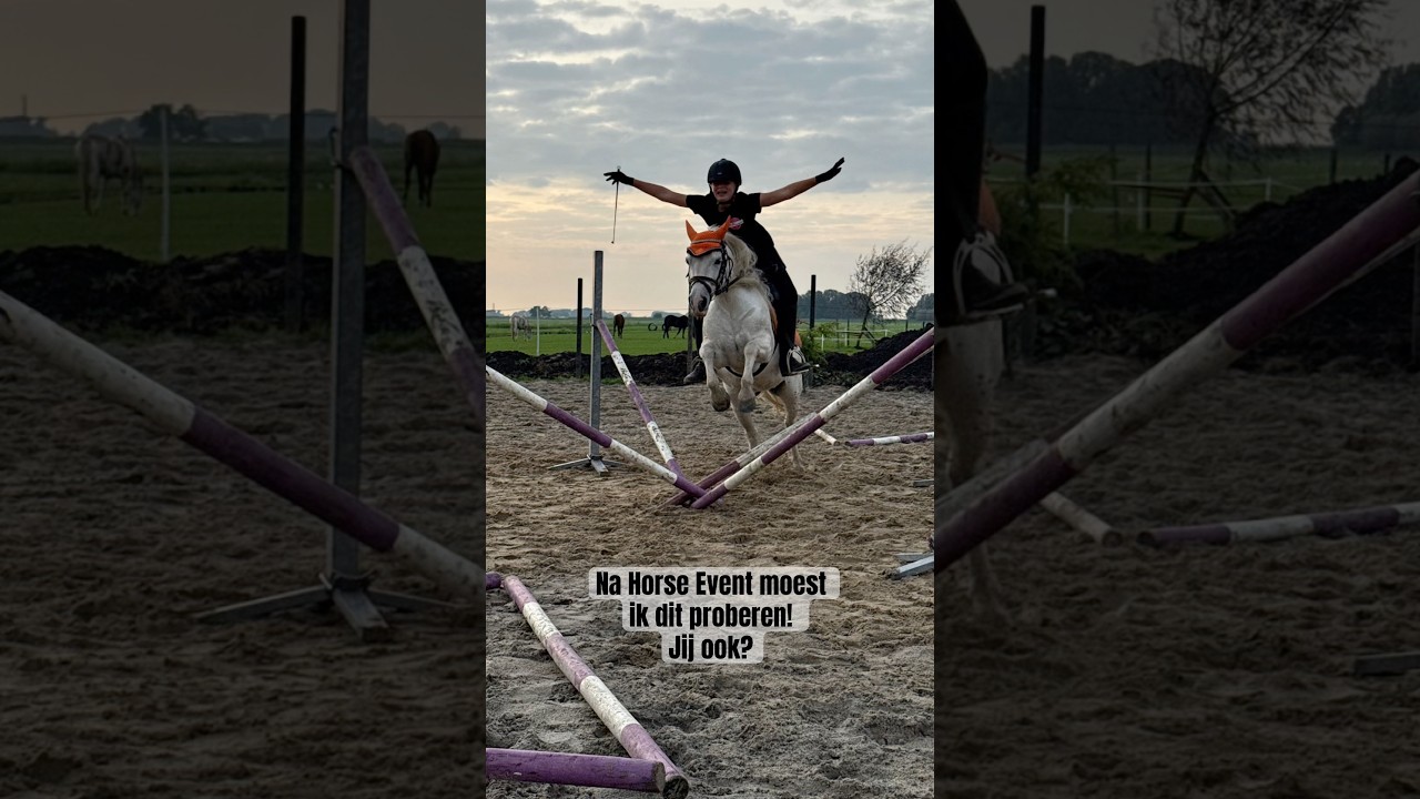 Dit zag ik bij Kristy op horse event! Heb jij dit al geprobeerd?!