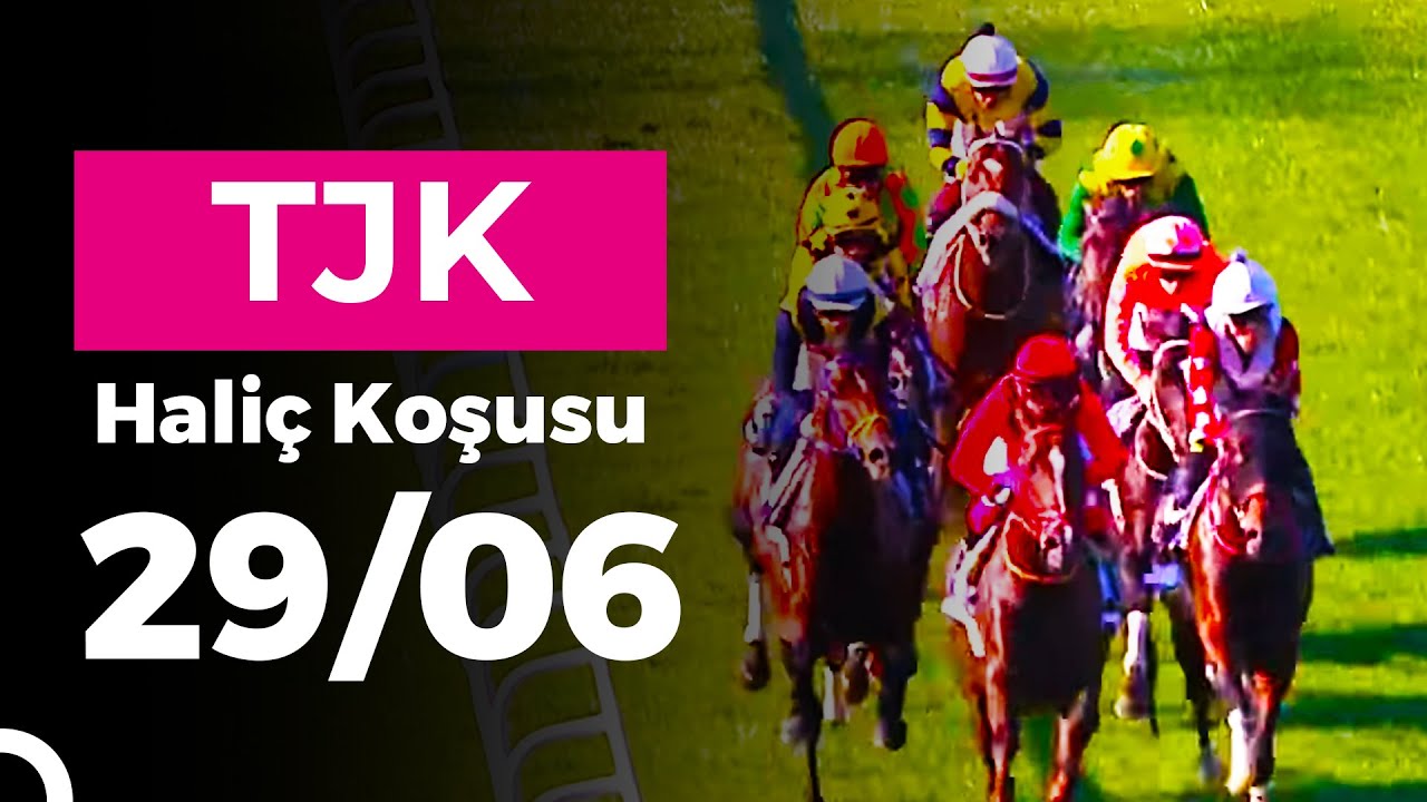 Hipodrom.com Hali&ccedil; Koşusu (Grup - 1) 29/06/2025