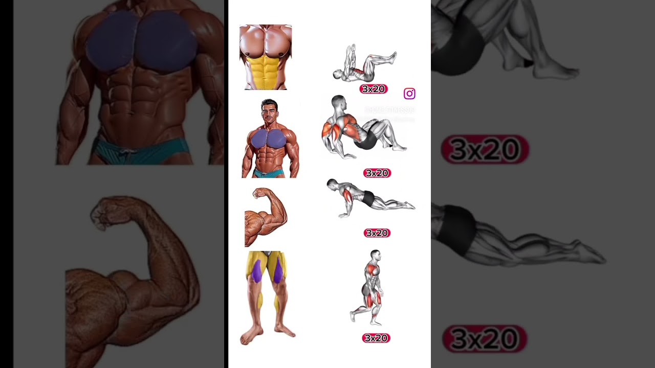 exercice Muscu #maison #musculation #salles #pecs #biceps #fitness #exercice #exercices #abdos