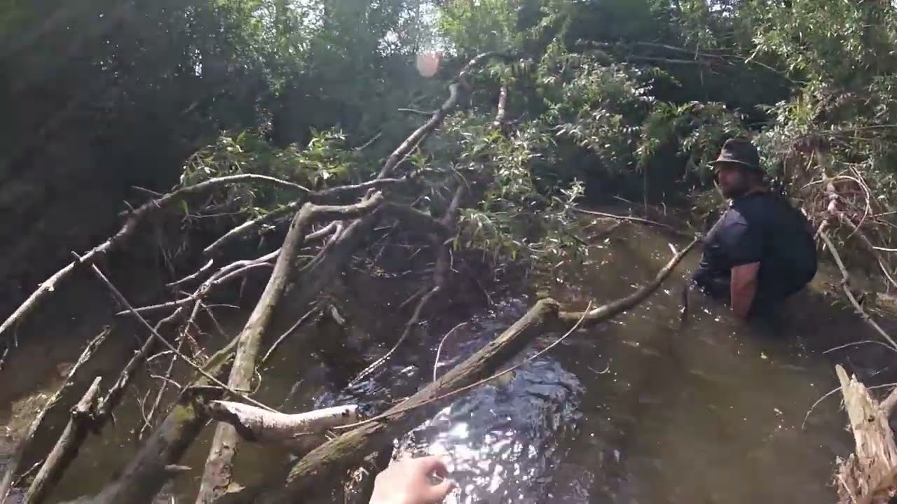Flusswanderung Teil 1/2 - DieBambusleitung nimmt euch mit!