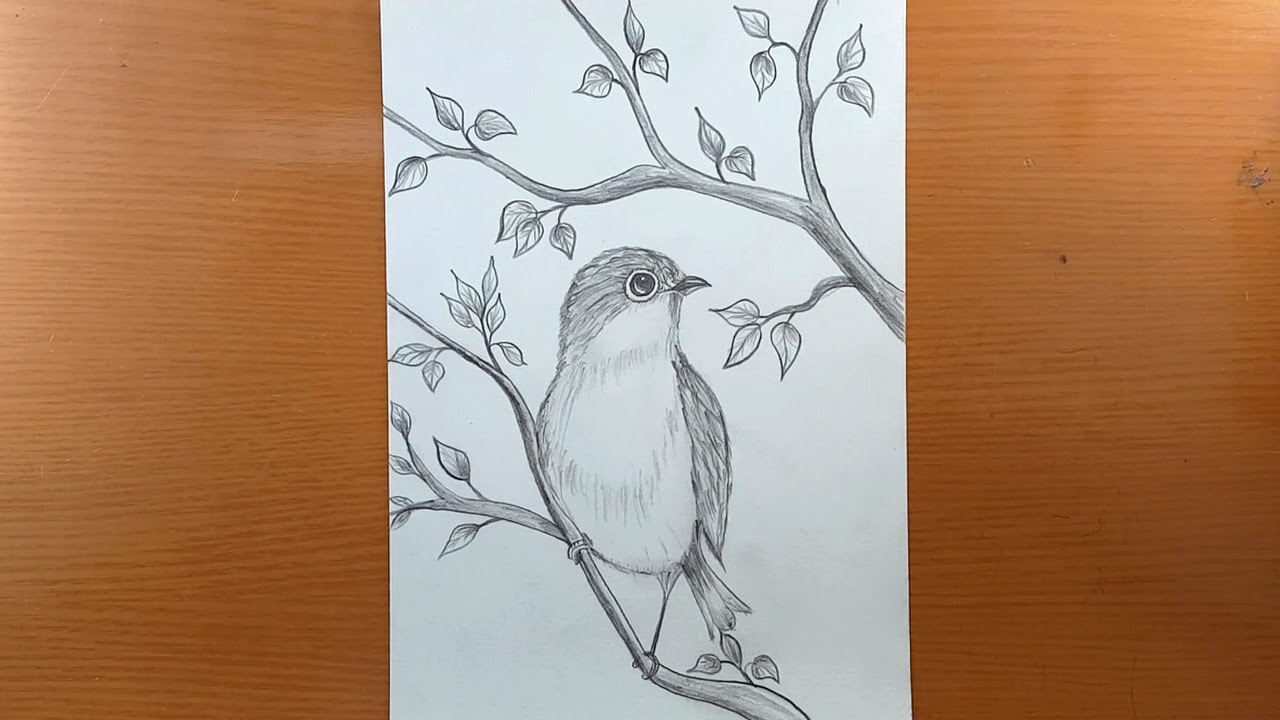 Como desenhar um cenário de pássaros com lápis passo a passo  | desenhos para desenhar