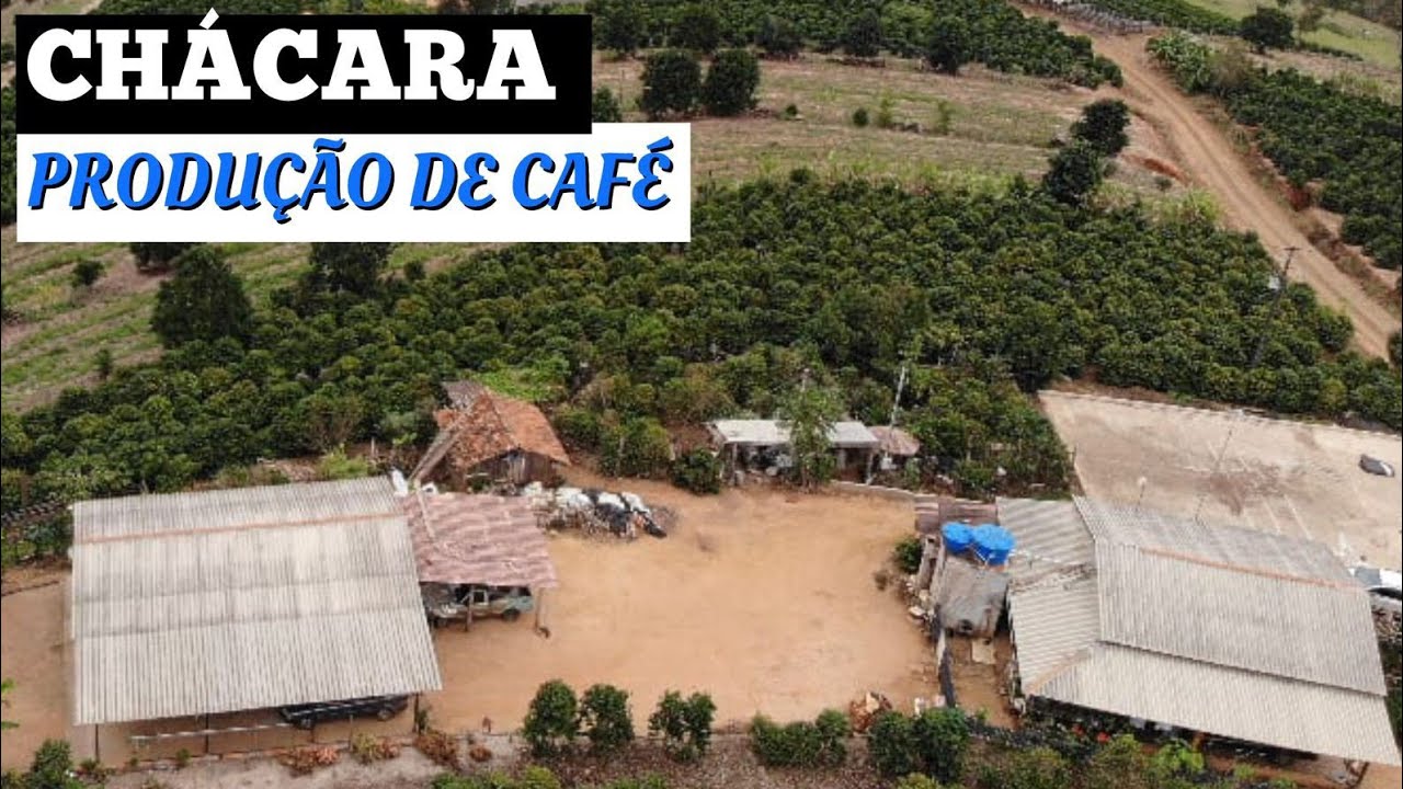 CHÁCARA PRODUÇÃO CAFÉ - DUAS CASAS EXCELENTE EM PINHALÃO-PR R$389mil