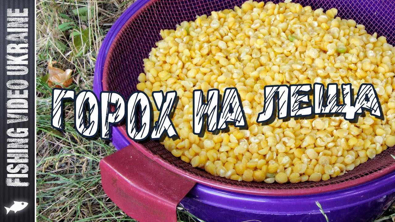 Правильный горох для крупного леща и другой мирной рыбы | 1080p | FishingVideoUkraine