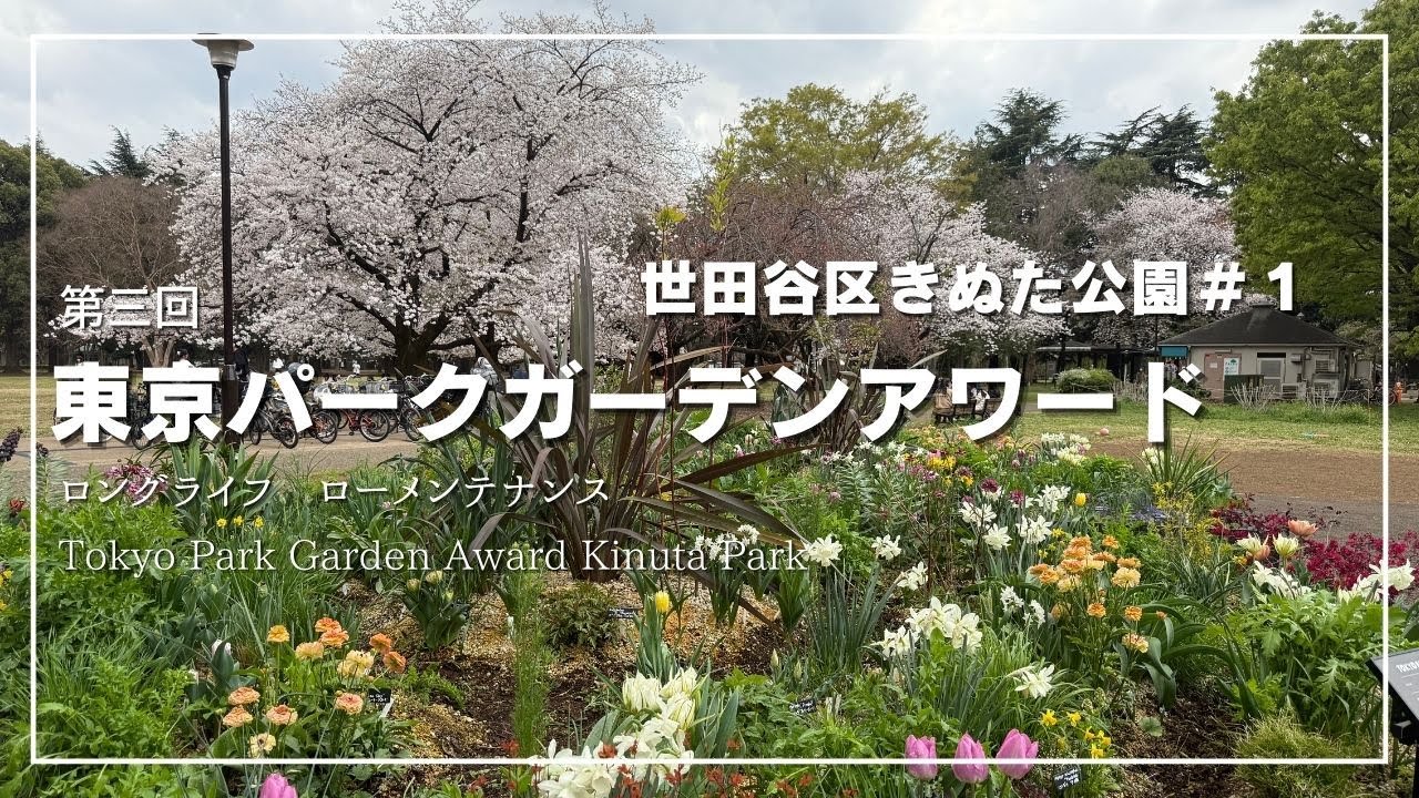 いよいよスタート！☘️第三回東京パークガーデンアワード＠砧（きぬた）公園＃１🌺2025年4月上旬
