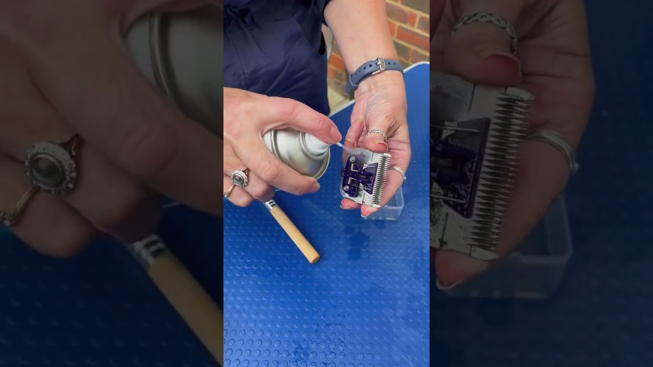 🧼 Keep It Clean: How to Disinfect Clipper Blades Between Grooms with Clipit Ice Care Spray
