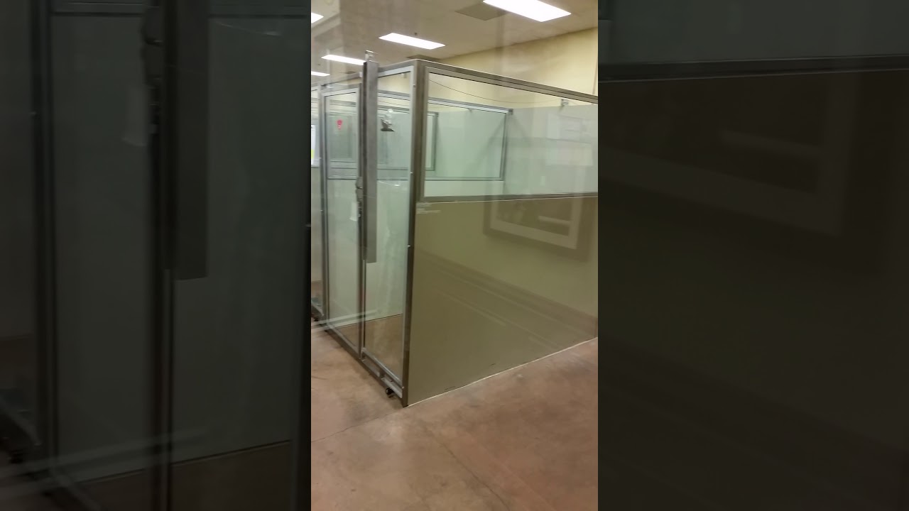 Lucy's 5 day stay at the Pet Smart hotel.