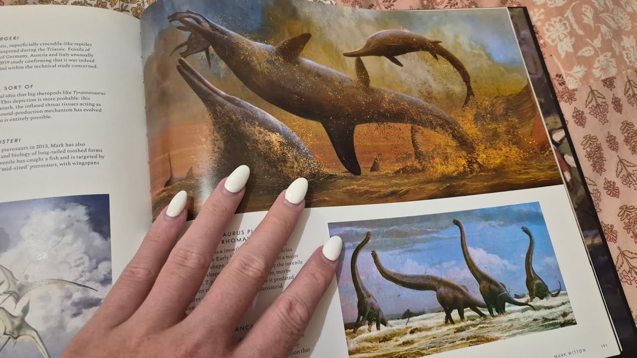 ASMR - Dinosaur Art Book - part 3 💜