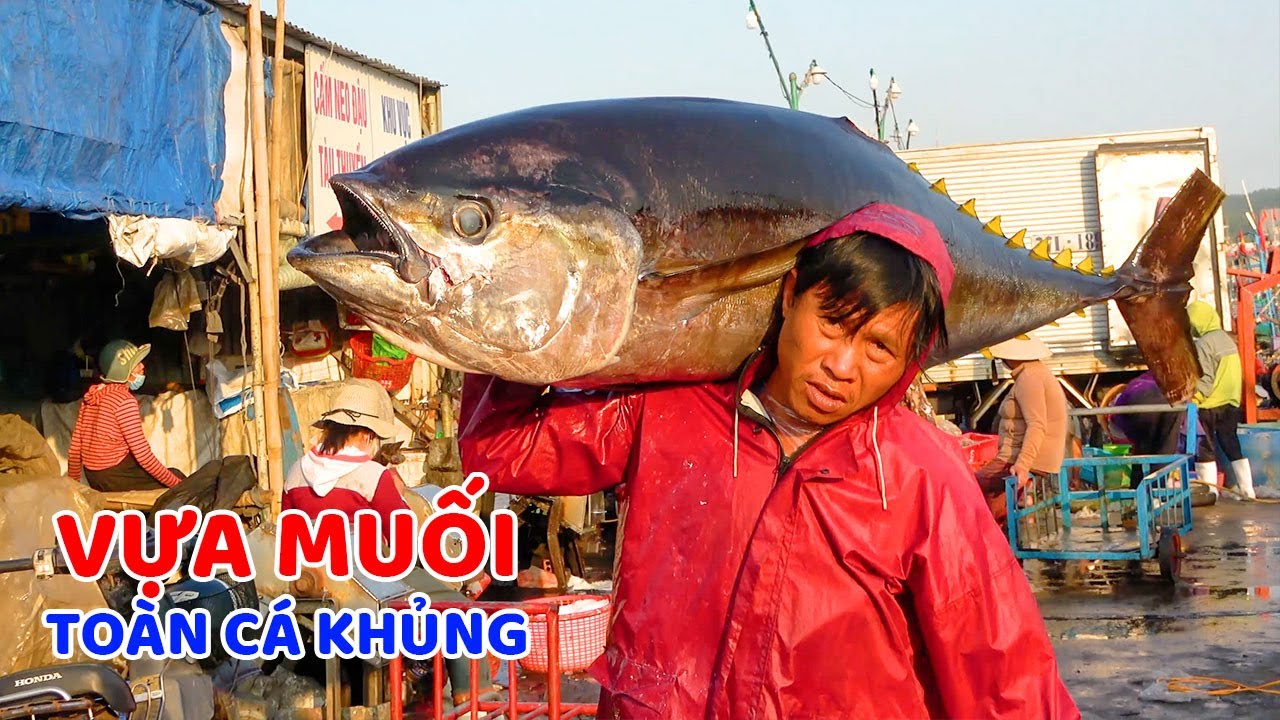 Khám phá cuộc sống tại 