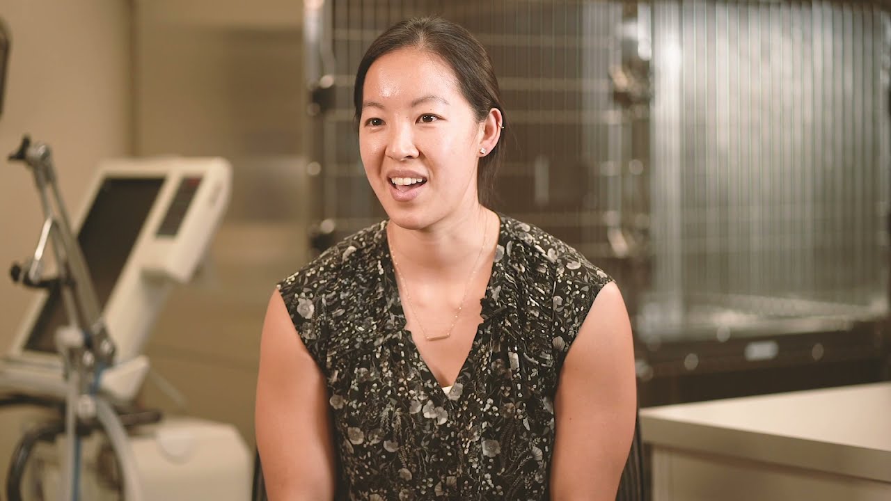 Meet The Specialist - Dr. Liz Lee, Veterinary Internal Medicine