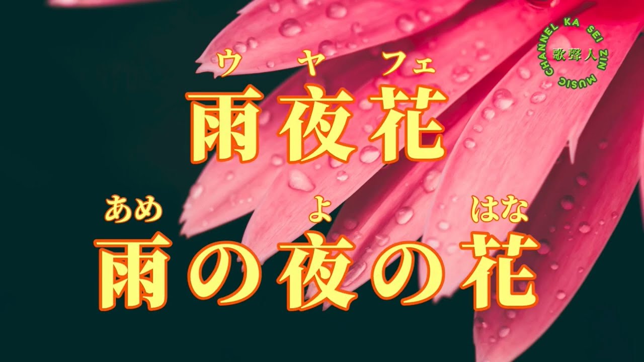 雨夜花（雨の夜の花）/漢譯+注音-演唱YuYu