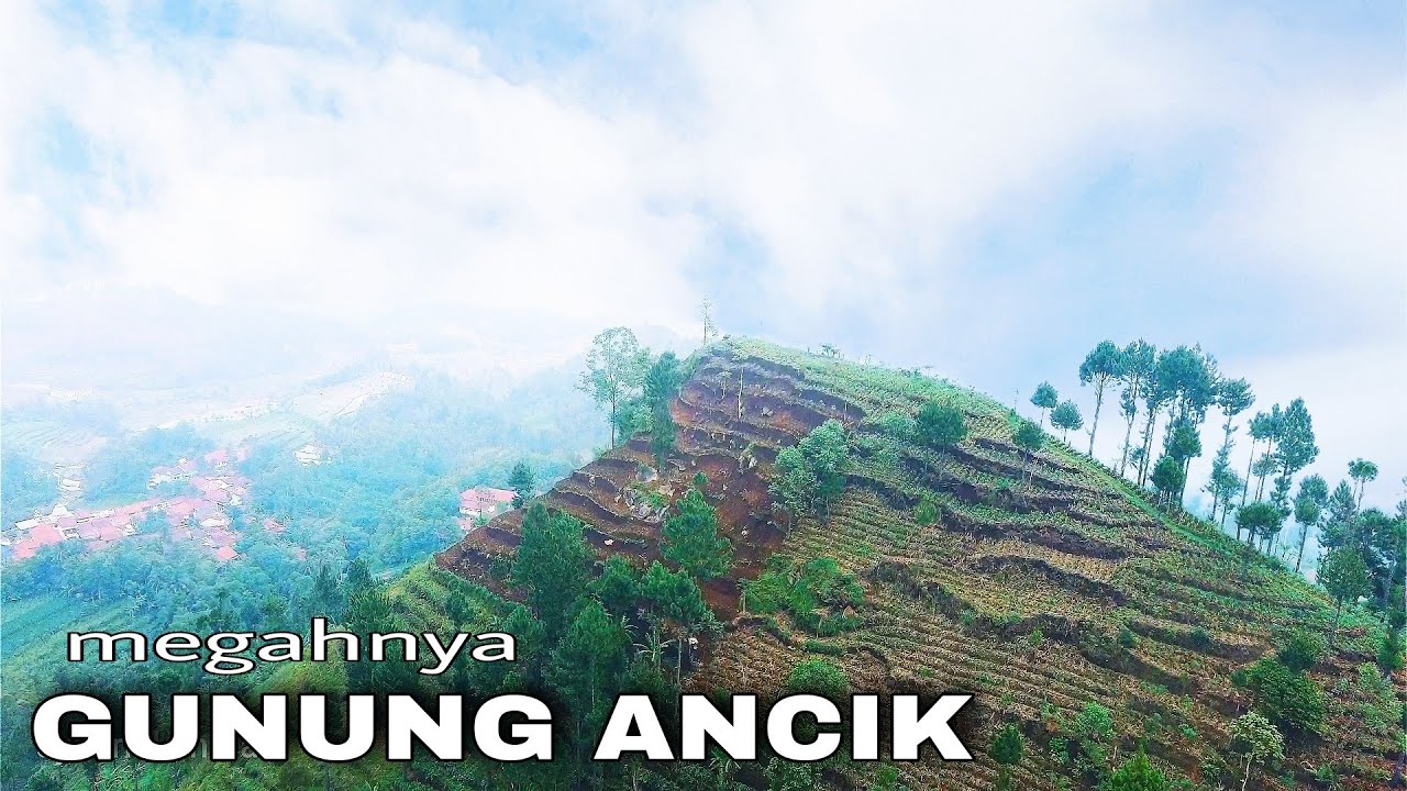 INDAHNYA GUNUNG ANCIK | dk Ancik Cilibur Paguyangan Bumiayu