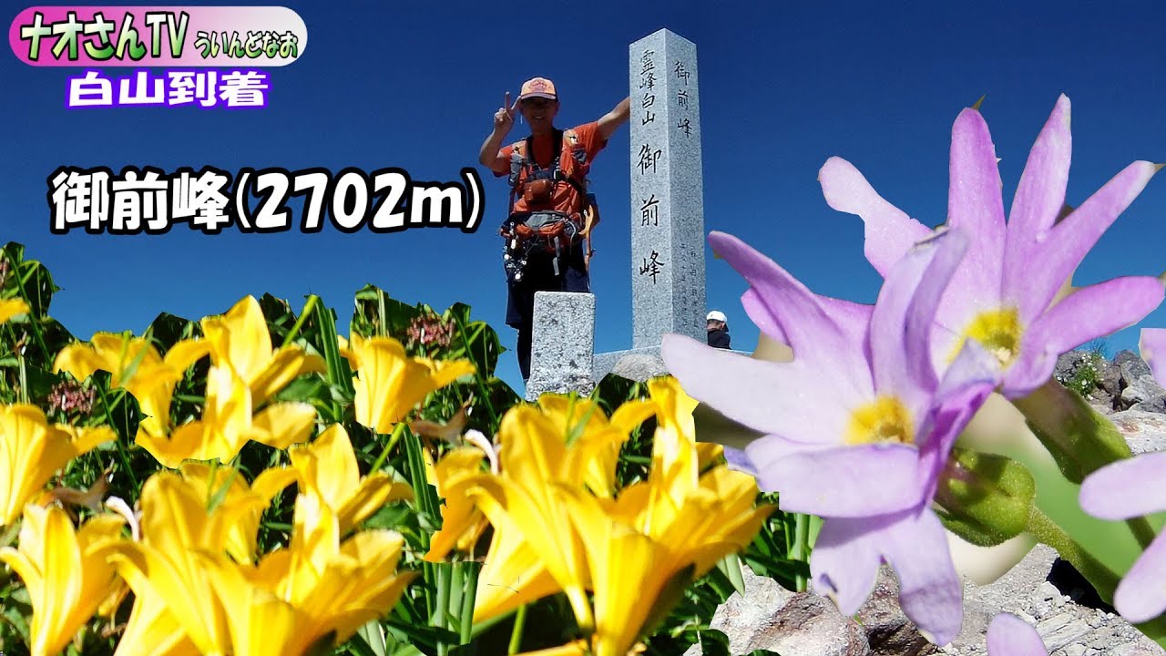 【花の白山】その名の通り！今年の白山登山はニッコウキスゲの大群落2018/7/14