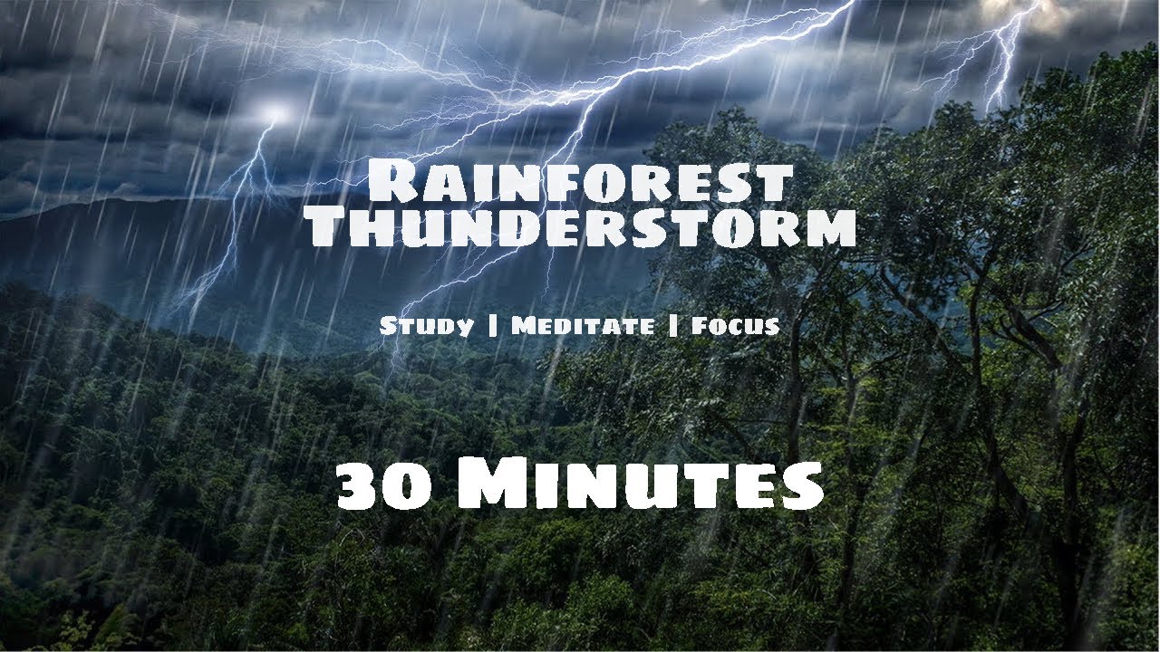 Deep Rainforest Ambience 🌿 Gentle Rain, Birds & Distant Thunder (30 Minutes)