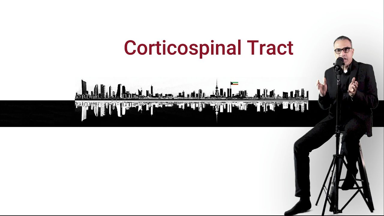 Corticospinal Tract