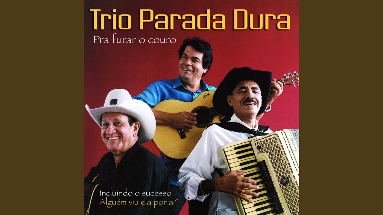 Minha Vida Do Avesso