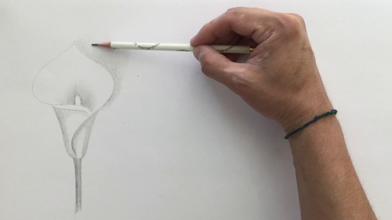 Dibujo y Pintura de Representación (Dibujo de alcatraces)