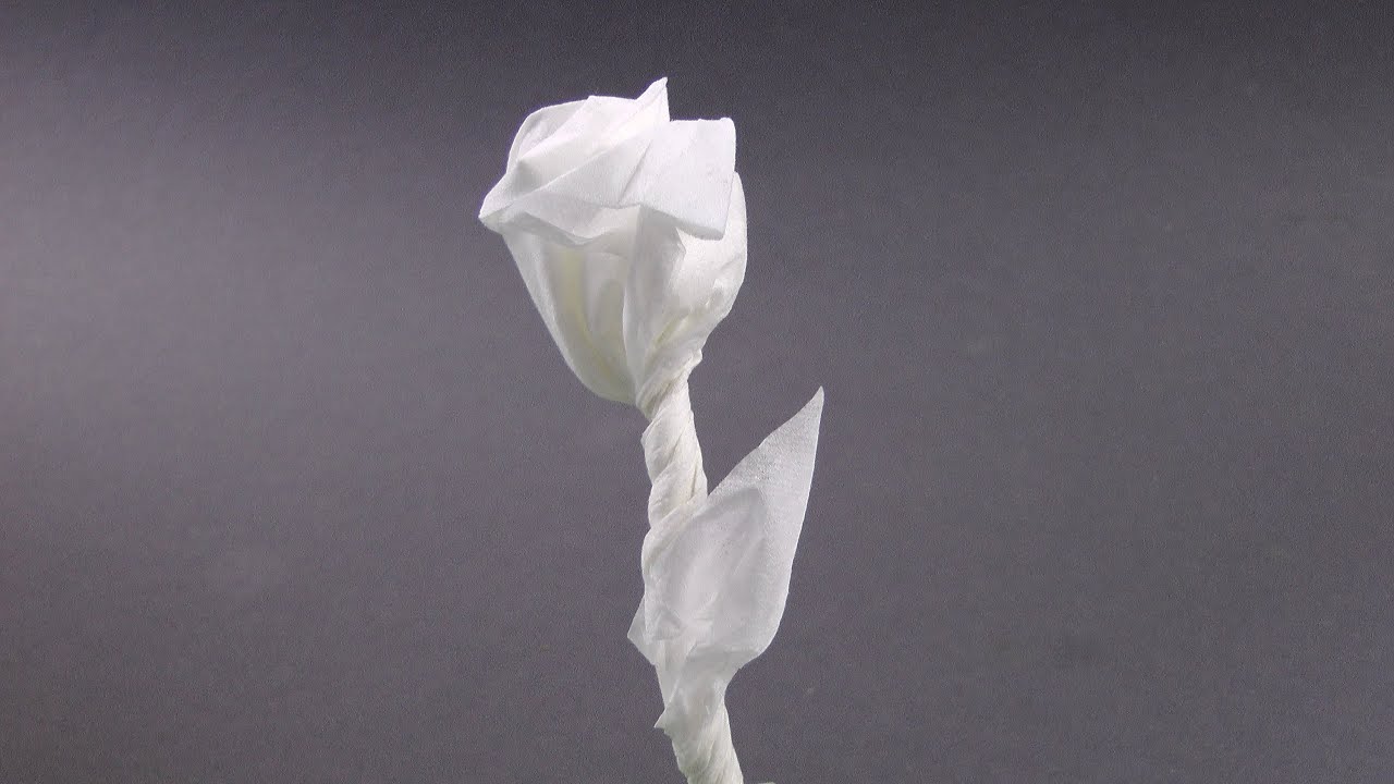 einfache Rose für den Valentinstag