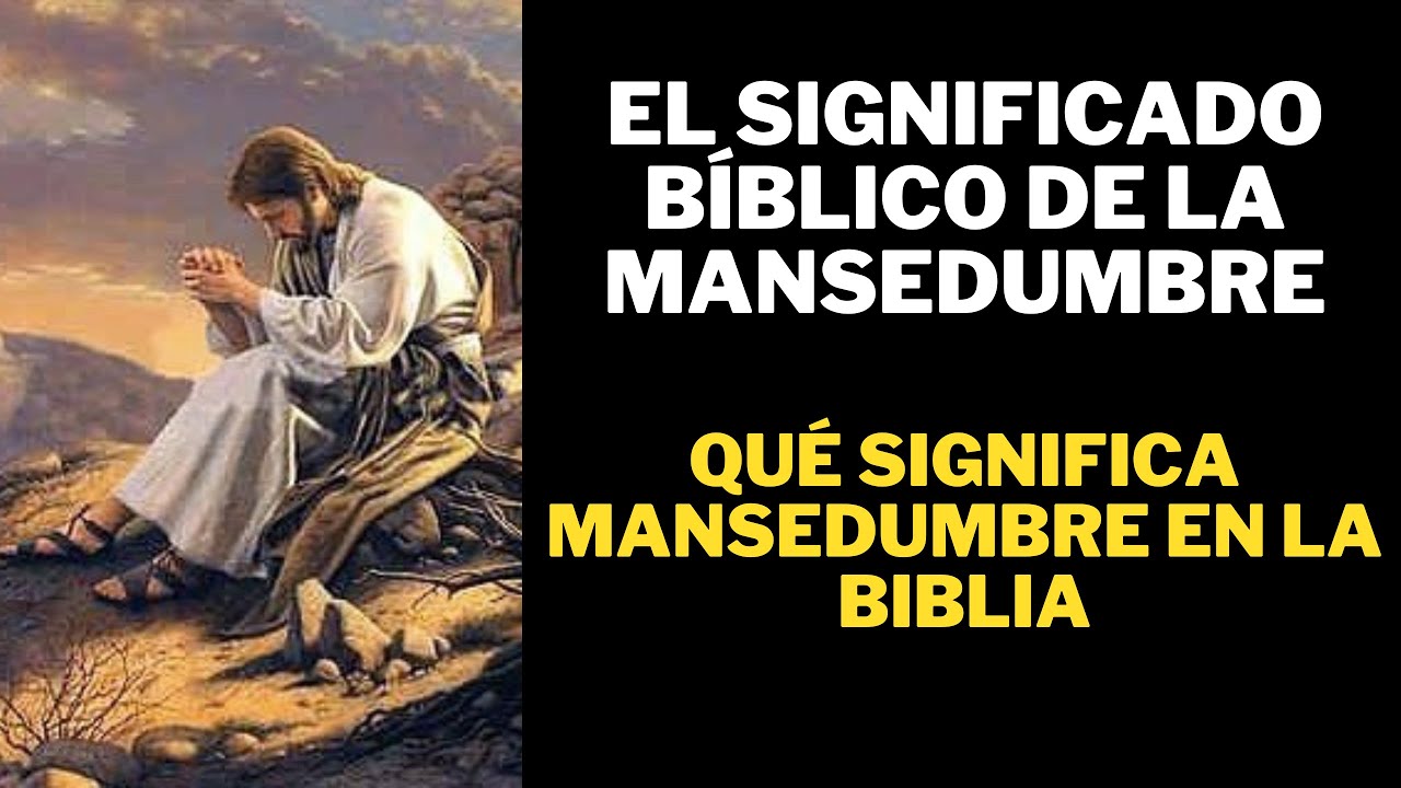 Mansedumbre Significado Bíblico - Qué Significa Mansedumbre en la Biblia