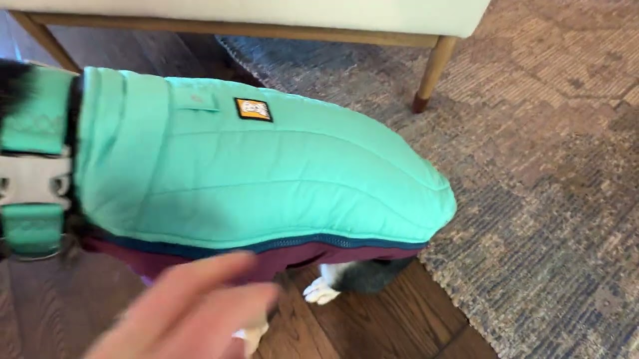 Why we LOVE this Ruffwear coat -- Ruffwear, Powder Hound Insulated, Cold Weather Jacket for Dogs