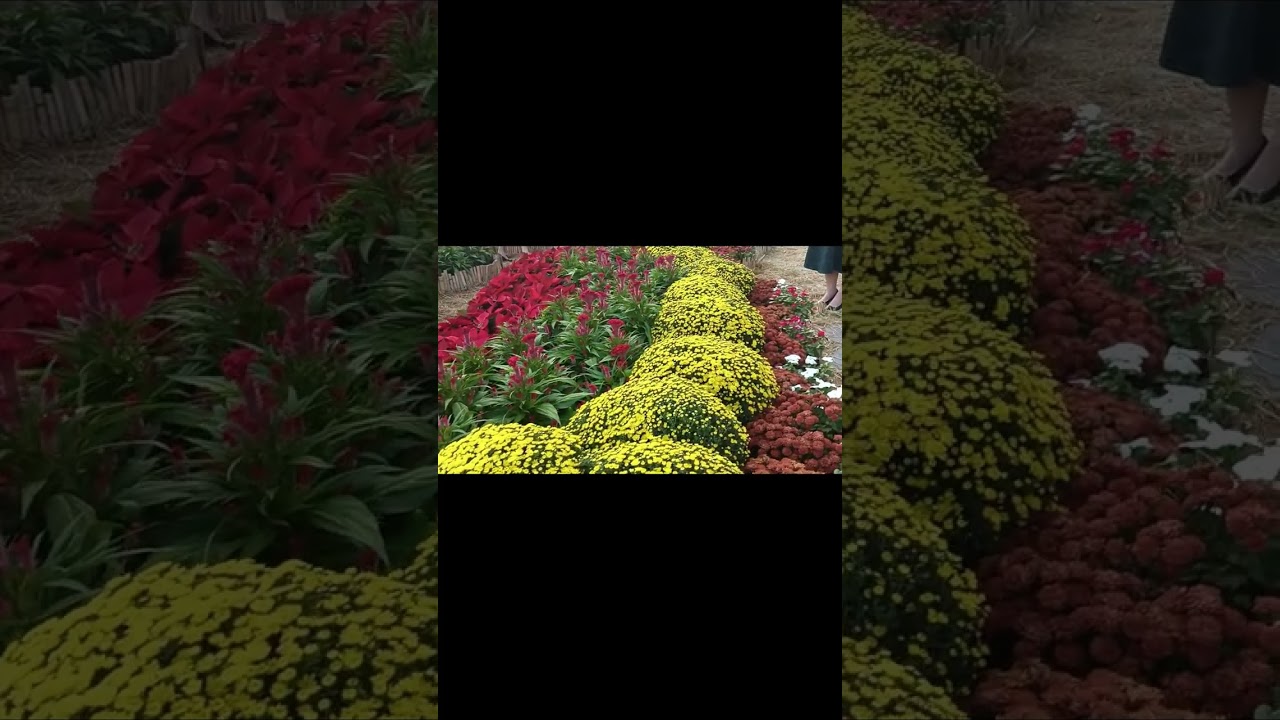 Công viên ga Ba Son 