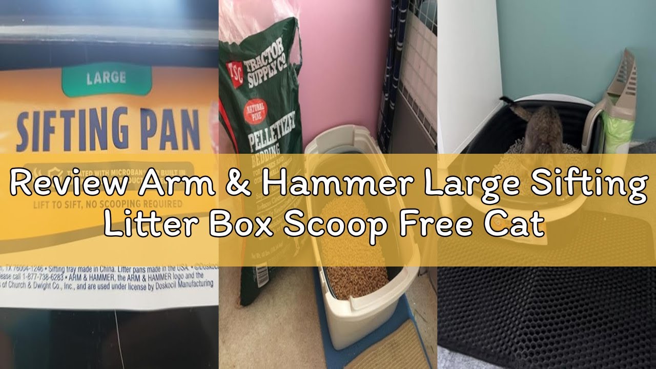 Review Arm & Hammer Large Sifting Litter Box Scoop Free Cat Litter Tray with Microban, Made in USA