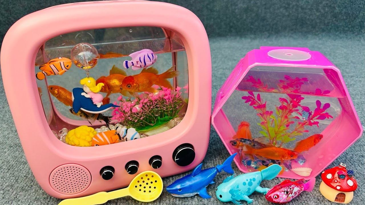 Satisfied Unboxing Aquarium Machine Fish Fishing Toy Set ASMR | Toy Evaluation