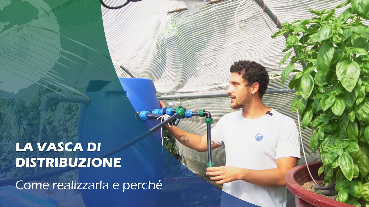 VASCA DI DISTRIBUZIONE per impianti di acquaponica