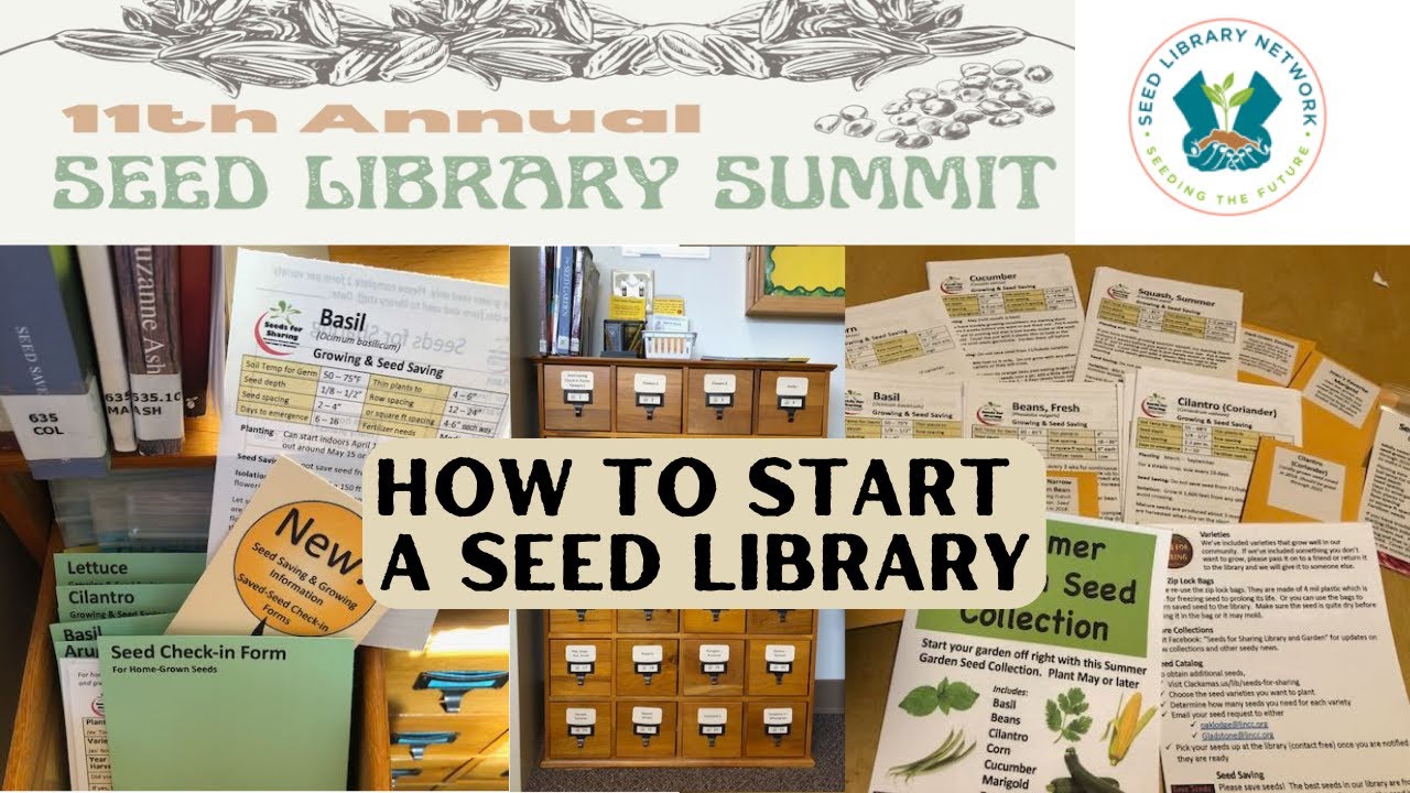 Networking: How to Start a Seed Library