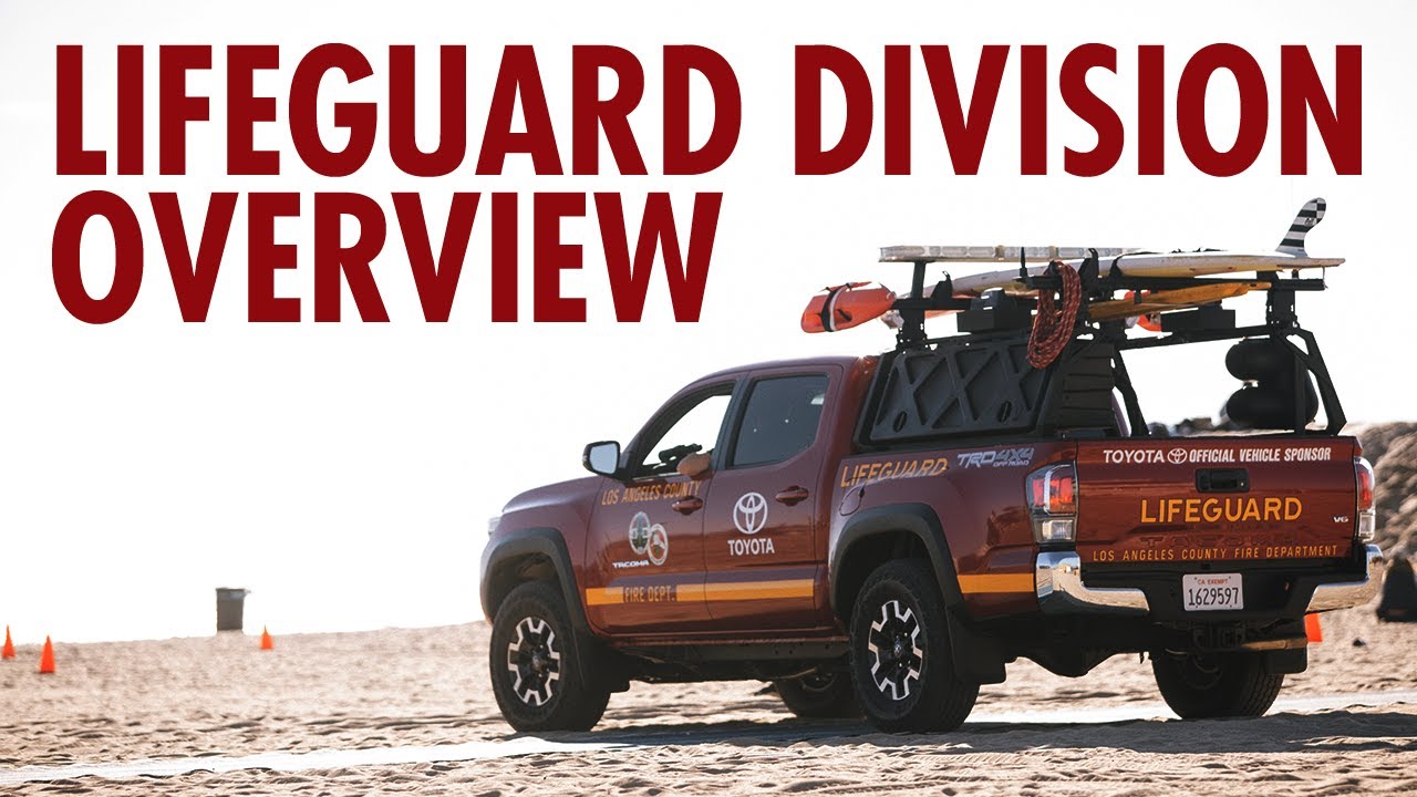 Lifeguard Division Overview