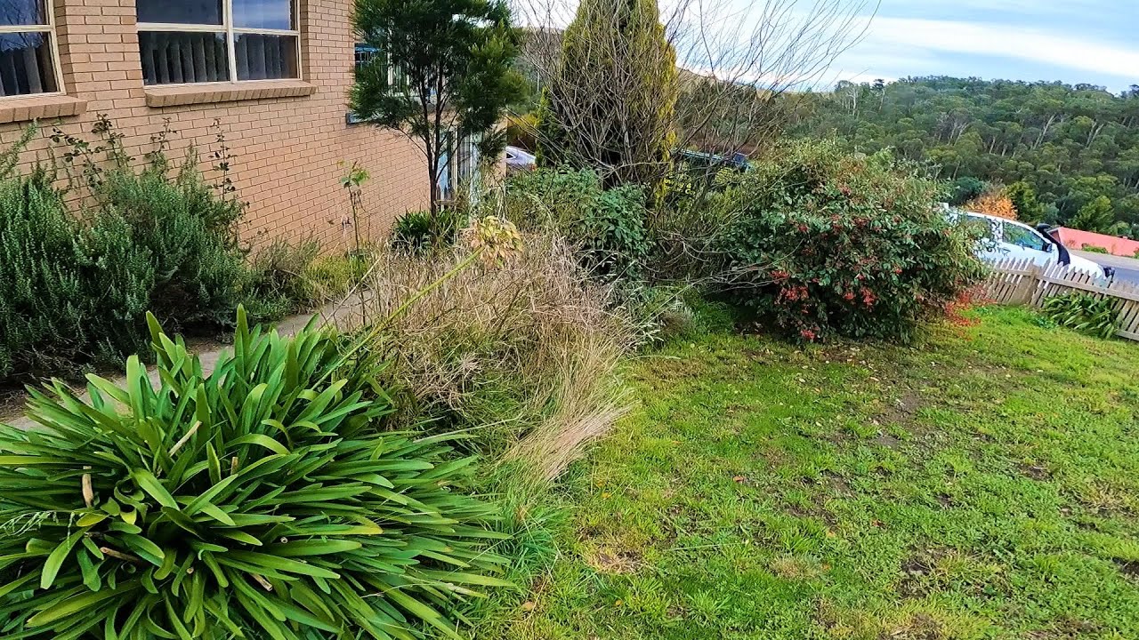 Can we RESTORE this crazy DISASTER | Massively OVERGROWN Garden!