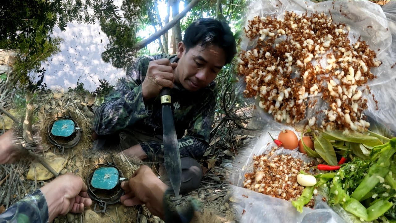 24 กุมภาพันธ์ ค.ศ. 2026.ກິນກ້ອຍໄຂ່ມົດເເດງ//กินก้อยไข่มดเเดง