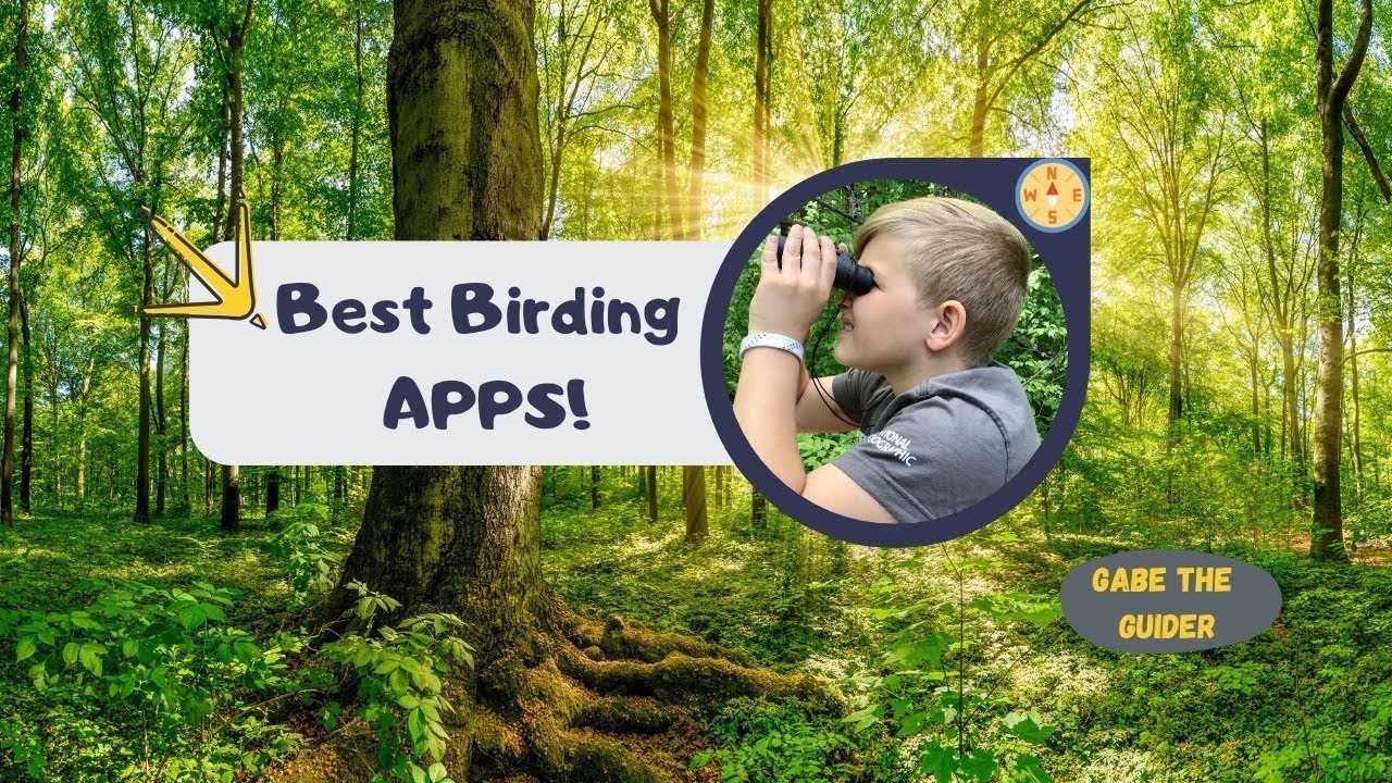 BEST BIRDING APPS!!!