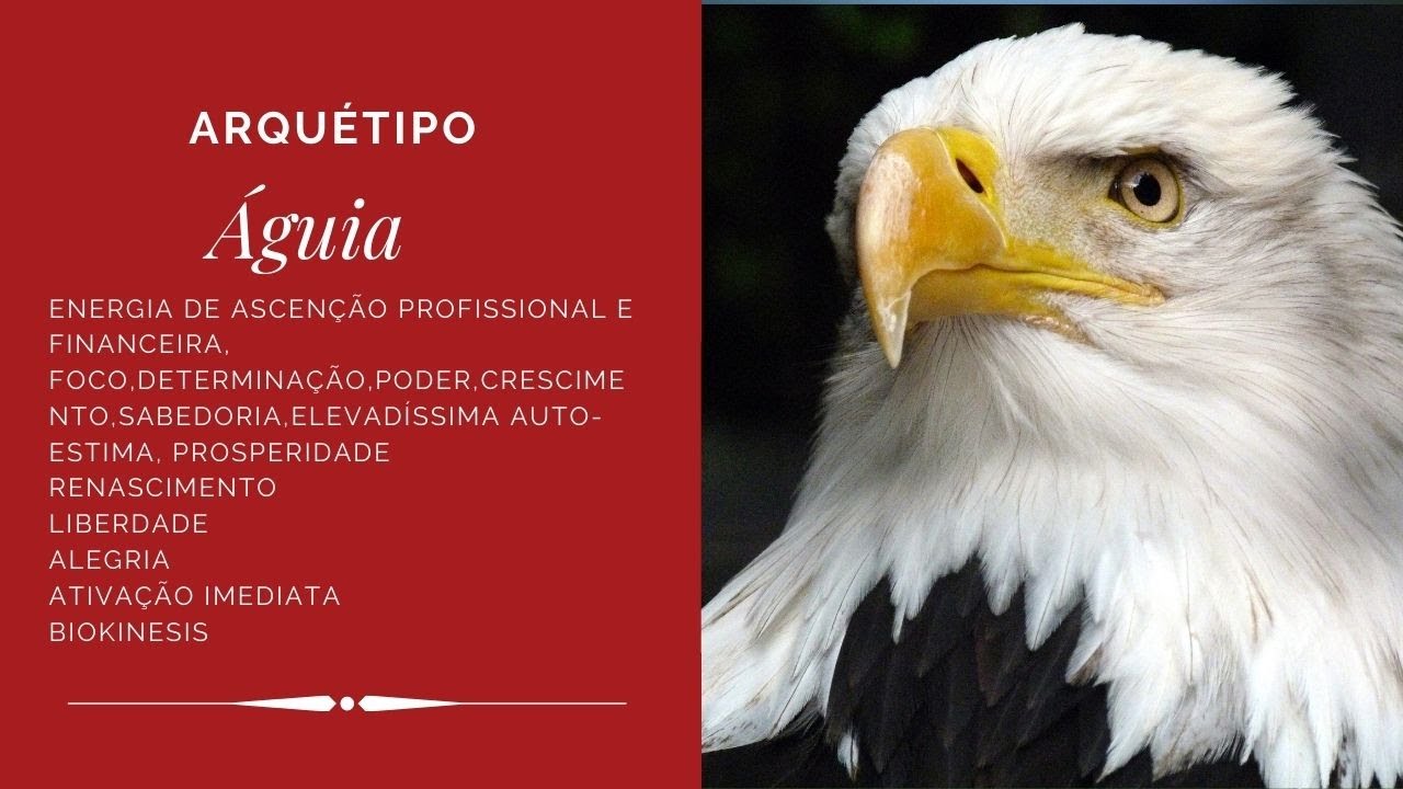 ÁGUIA,  AUDIO PODEROSO, ATIVAÇÃO IMEDIATA