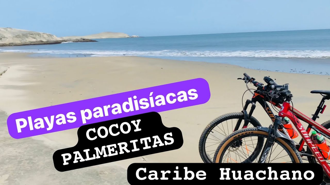 HUACHO PLAYA HORNILLOS COLORADO CABEZA DE LEON PARAISO PALMERITAS COCOY 2024 BICICLETA COMO LLEGAR