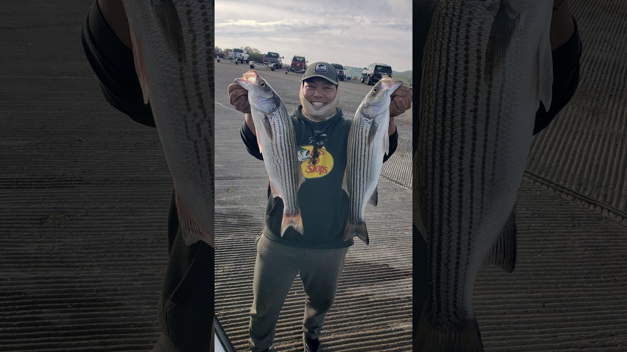 San Luis Reservoir STRIPERS on Fire!! SLR!!