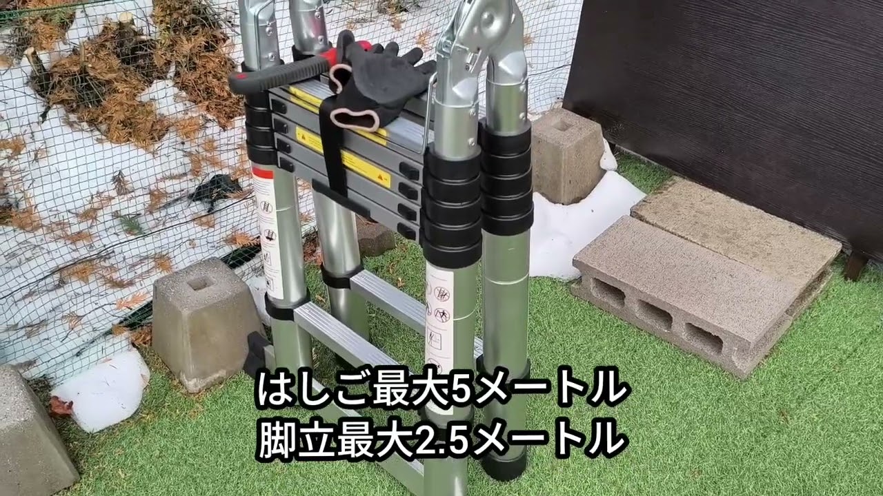 楽天で伸縮式脚立はしご購入してみた!