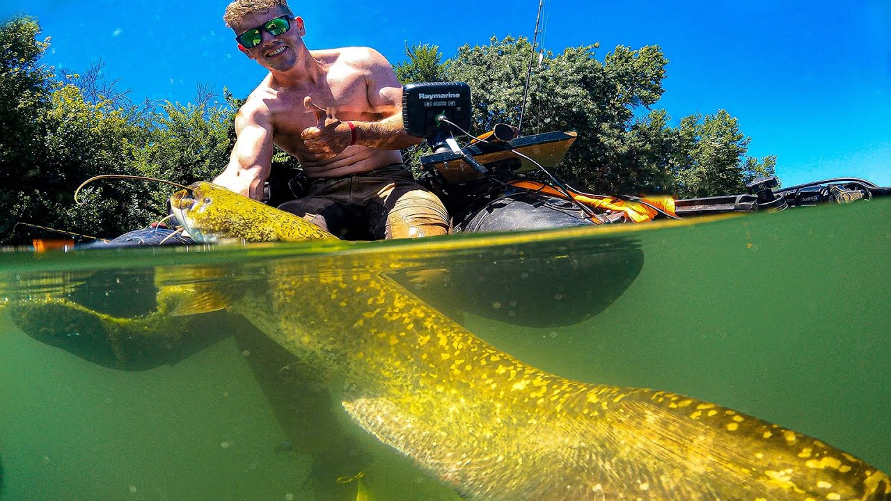 MEERVAL AVONTUUR IN FRANKRIJK!!