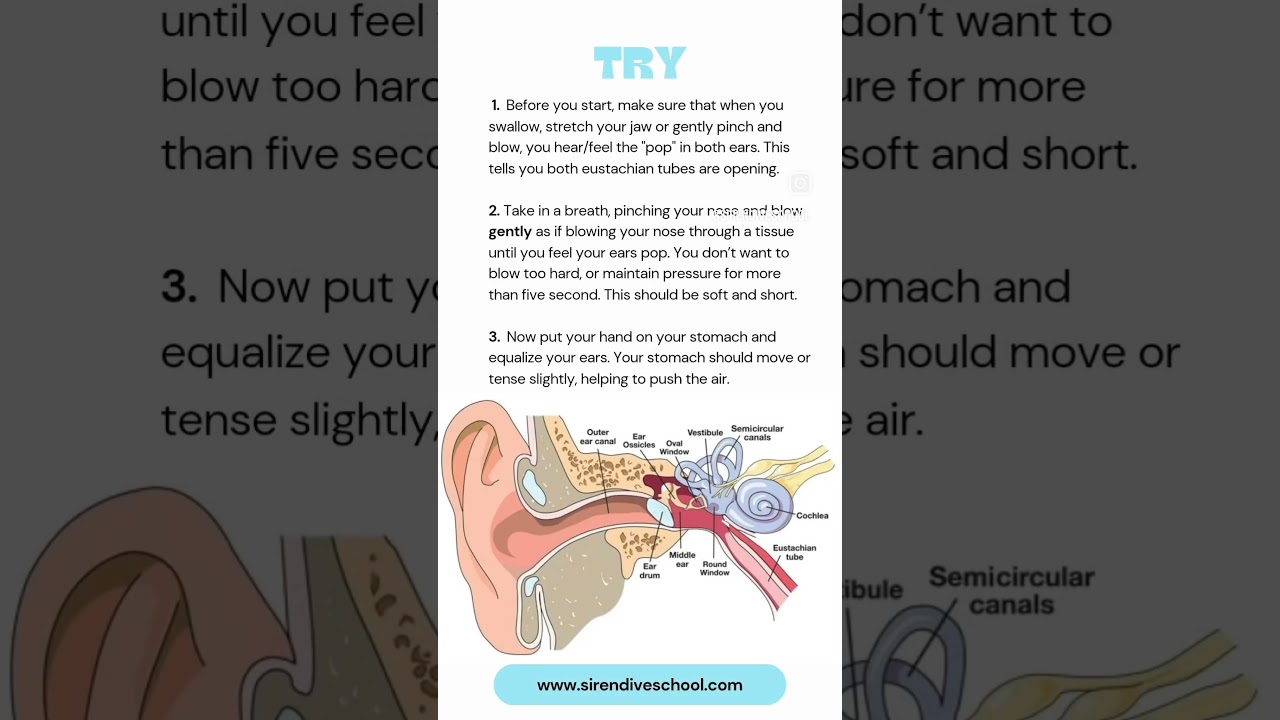 ⚠️ #Equalization Tips ⚠️ #freediving #tips #mermaid #dive