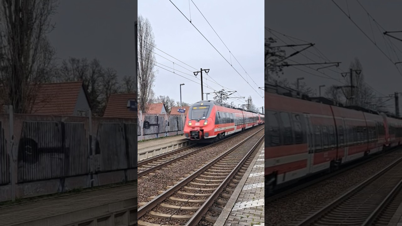 Hamster Backe 🐹| #synthwave #music #train #trainspotting #trainspotter
