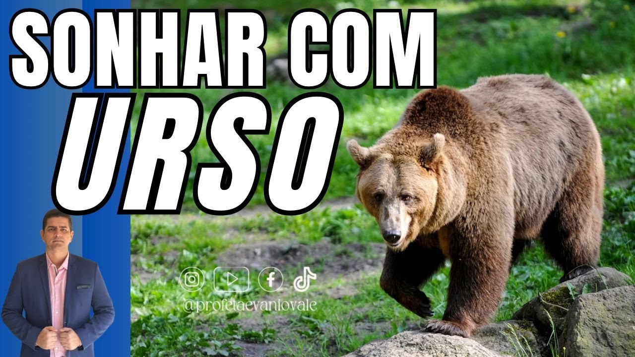 SONHAR COM URSO ⁨@profetaevaniovale⁩