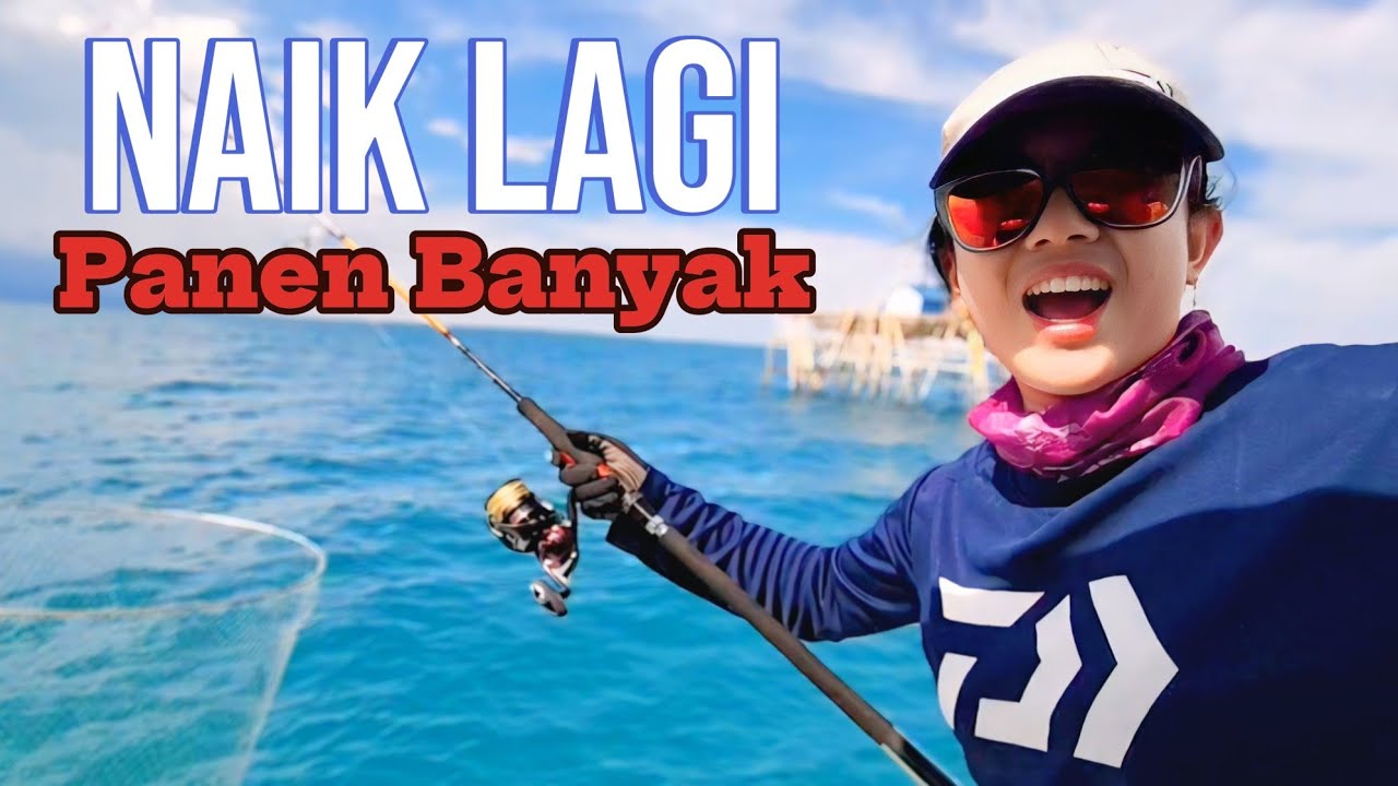 Panen banyak ikan tenggiri || Aura Pawita trip lebaran
