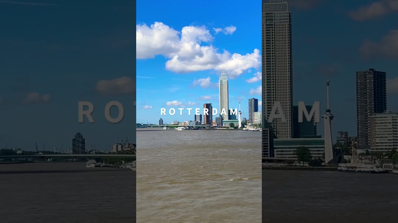 Rotterdam Skyline 🇳🇱#rotterdam #rotterdam010 #holland #netherlands #erasmusbridge #skyline #europe